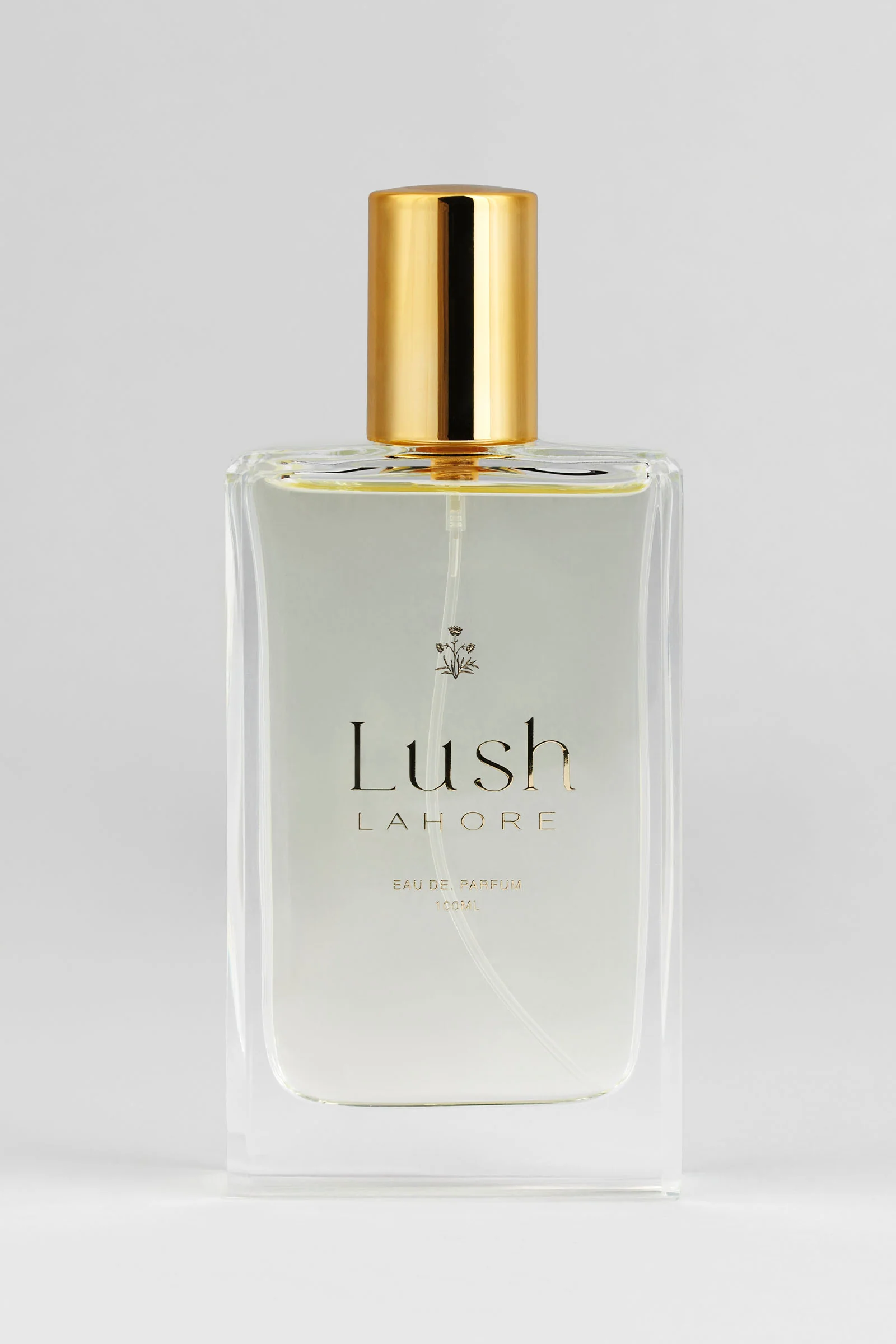 Lush Lahore - Image 3